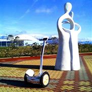 Airwheel S3T airwheel smart airboard Airwheel S3T