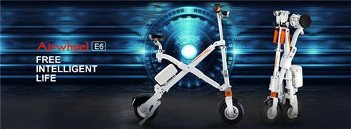 Folding Electric Bike